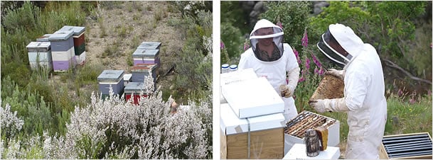 養蜂家達の手によって集められています。