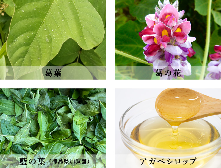 プロテクトブロック