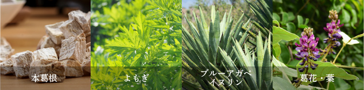 プロテクトブロック